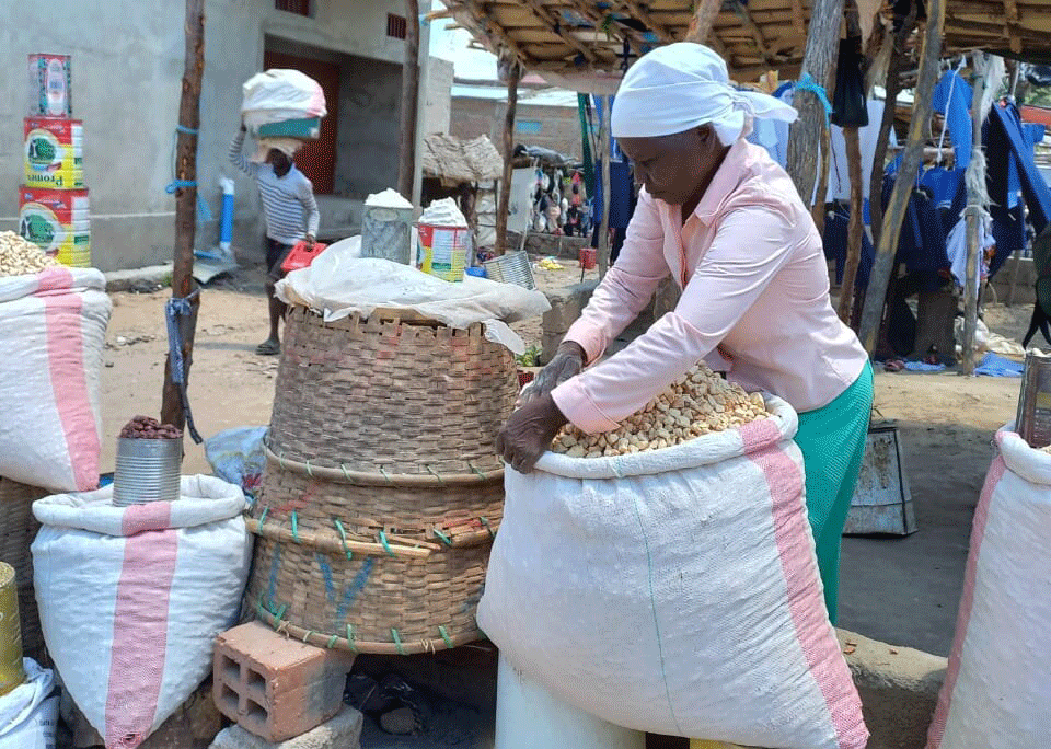  Zâmbia adquire 650 mil toneladas métricas de milho da Tanzânia