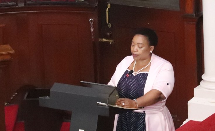  Dube-Ncube quer ver reinício da construção de barreira na fronteira de KwaZulu-Natal com Moçambique 