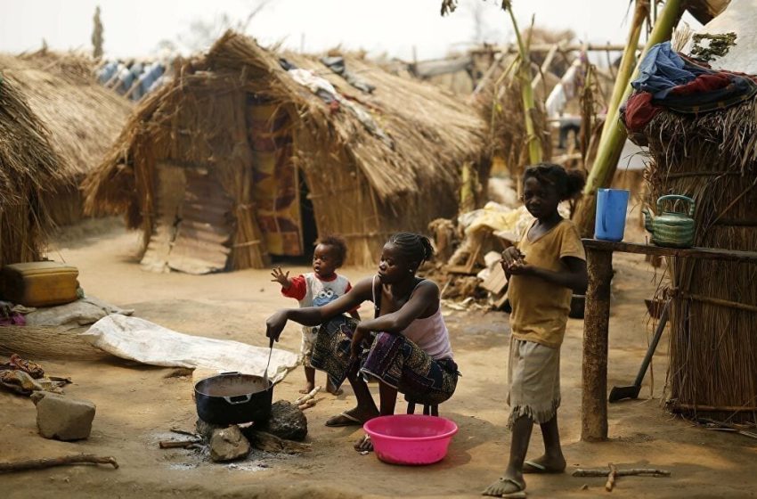 Desflorestação aumenta casos de insegurança alimentar na África Austral