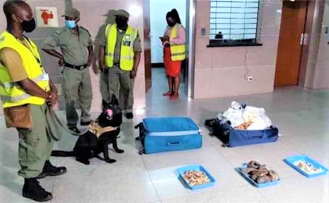  Cidadã vietnamita detida em Nampula