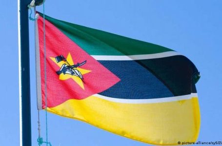 Interdita a venda e transporte de carne suína de proveniência desconhecida na província de Niassa