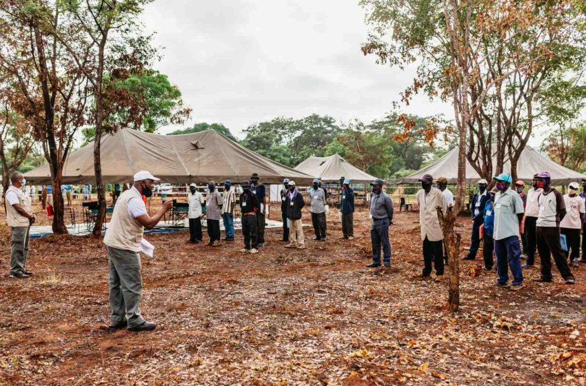  Suíça disponível para apoiar processo de reintegração de antigos guerrilheiros da Renamo