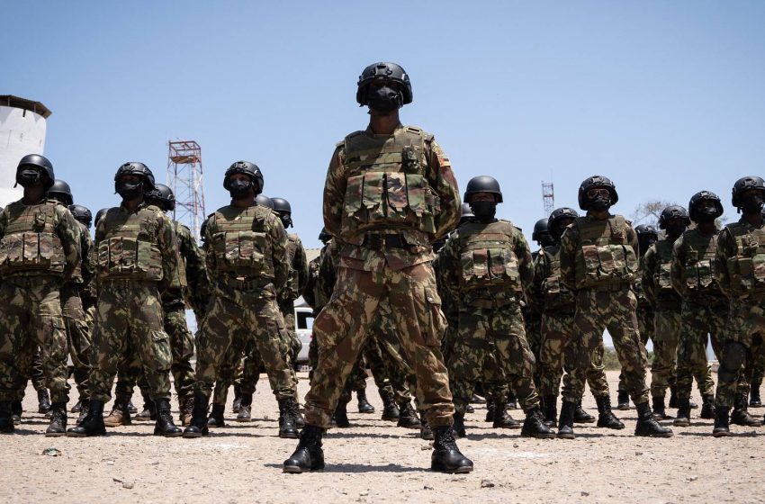  Forças Armadas anunciam eliminação do líder do terrorismo em Moçambique
