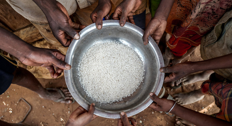  Moçambique regista queda da insegurança alimentar aguda