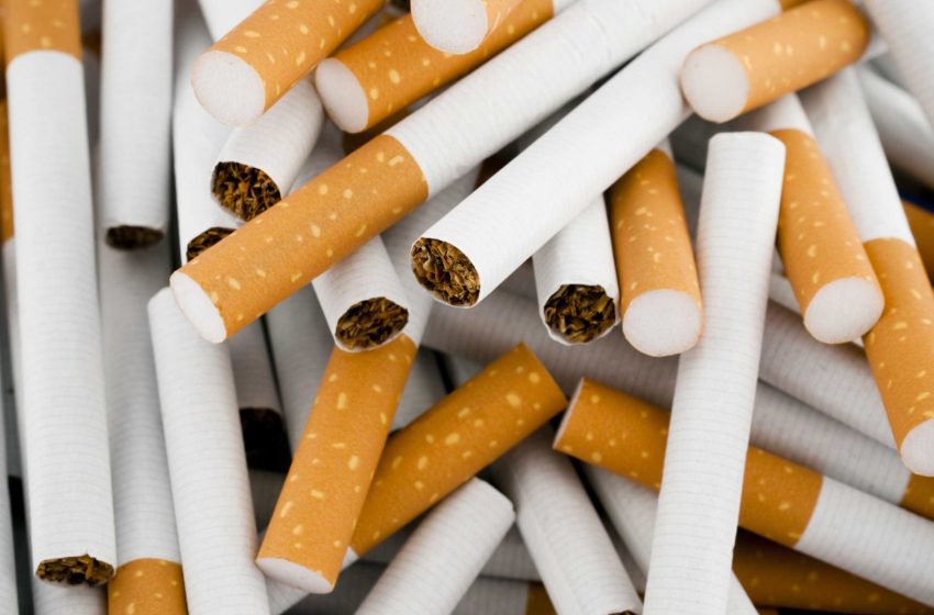  Exportação de tabaco aumentou 41 por cento em 2024 para mais de 150,6 milhões de dólares