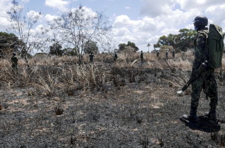 Moçambique recebe do BAD dois milhões de dólares de seguro contra secas